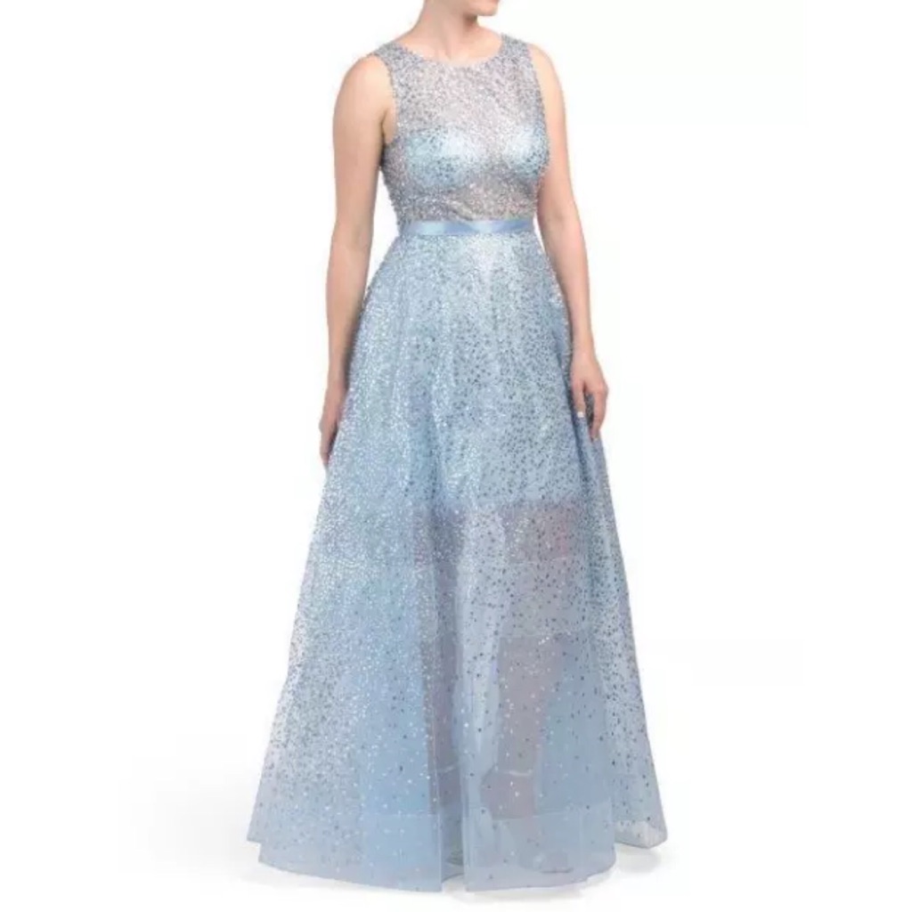 Betsy & Adam Beaded Illusion Elsa Organza Gown